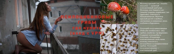 мяу мяу мука Пролетарск