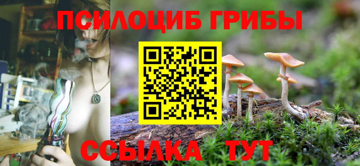 где найти   Курганинск  Псилоцибиновые грибы MAGIC MUSHROOMS 