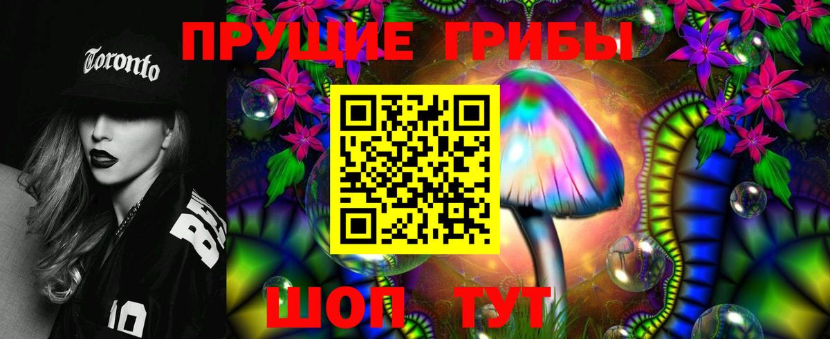 Псилоцибиновые грибы Psilocybe Курганинск
