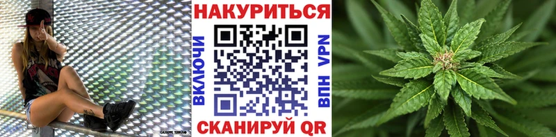 сколько стоит  darknet какой сайт  Конопля планчик  Курганинск 